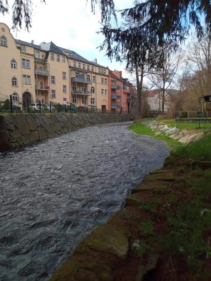 Ferienwohnung Zum Sebnitzer Hirsch Exterior foto